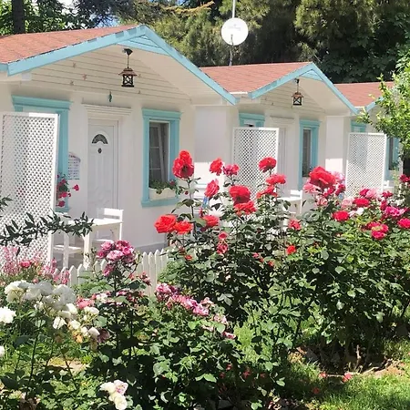 Aparthotel Poyraz Uzungöl