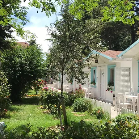 Poyraz 3* Uzungol