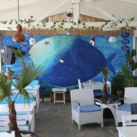 Aparthotel Poyraz Uzungol