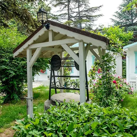 Poyraz Uzungol